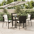 Bowery Hill Contemporary Poly Rattan 5 Piece Garden Dining Set in Black