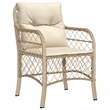 Bowery Hill Contemporary 5 Piece Poly Rattan Garden Dining Set in Beige