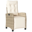 Bowery Hill Contemporary 9 Piece Poly Rattan Garden Dining Set in Beige