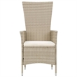 Bowery Hill 9 Piece Poly Rattan Garden Dining Set in Beige/Cream White