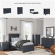 Bowery Hill Solid Wood Queen Panel Headboard & Dresser Set