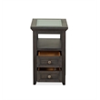 Bowery Hill Chairside End Table with Glass Top and 2 Drawers in Graphite