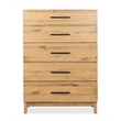 Bowery Hill Contemporary 5-Drawer Bedroom Chest in Rustic Caramel