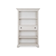 Bowery Hill Alabaster Bookcase With Adjustable Shelves and Drawer