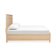 Bowery Hill Queen Panel Storage Bed in Sandstone Beige With 2 Drawers
