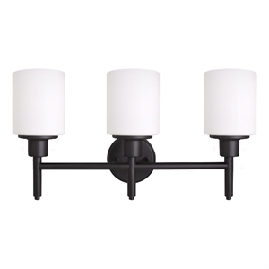 Bowery Hill Stainless Steel Vanity Light in Matte Black 3-Light