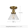 Bowery Hill Transitional Seedy Glass Ceiling Light in Satin Gold
