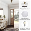 Bowery Hill Transitional Seedy Glass Ceiling Light in Satin Gold