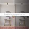 Bowery Hill Transitional Seedy Glass Ceiling Light in Satin Gold