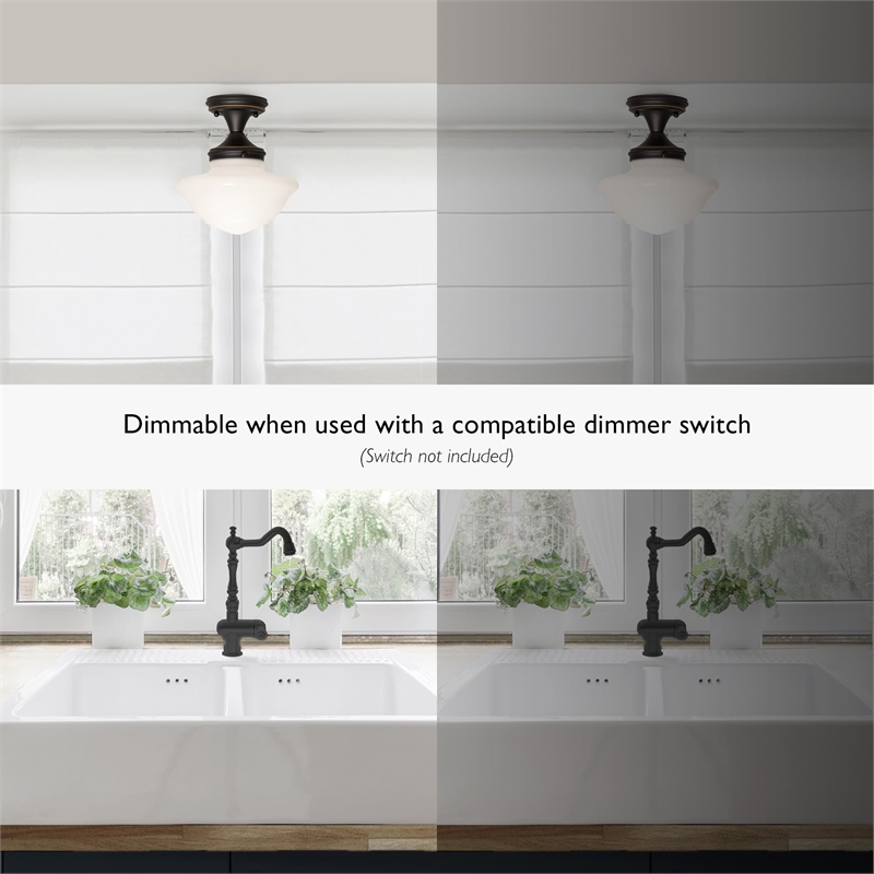 Bowery Hill Schoolhouse Stainless Steel Ceiling Light in Oil Rubbed Bronze