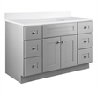 Bowery Hill 48-Inch Solid Wood Vanity in Sherwin Williams Gray
