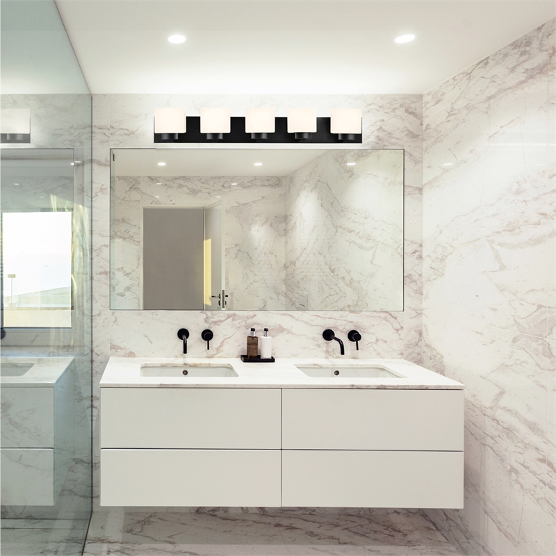 Bowery Hill 5-Light Stainless Steel Glass Vanity Light in Matte Black