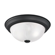 Bowery Hill Traditional Ceiling Light in Matte Black 2-Light 2-Pack