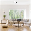 Bowery Hill Traditional Ceiling Light in Matte Black 2-Light 2-Pack