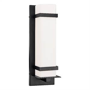 Bowery Hill Modern Indoor/Outdoor Metal Wall Light in Matte Black