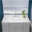 Bowery Hill 49-Inch Assembled Bath Vanity - Gray Base and Widespread Top