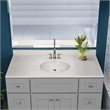 Bowery Hill 49-Inch Assembled Bath Vanity - Gray Base and Ivory Swirl Top