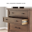 Bowery Hill Brown 5-Drawer Chest with Picture Frame Detailing