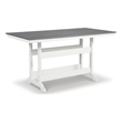 Bowery Hill Outdoor Counter Height Dining Table in Gray & White