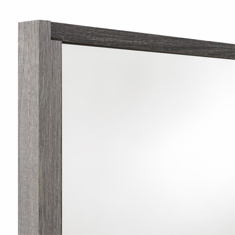 Bowery Hill Transitional Rectangular Mirror in Gray MDF and Glass