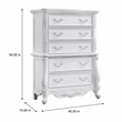 Bowery Hill 5-Drawer Transitional Wood Rectangular Chest in Pure White