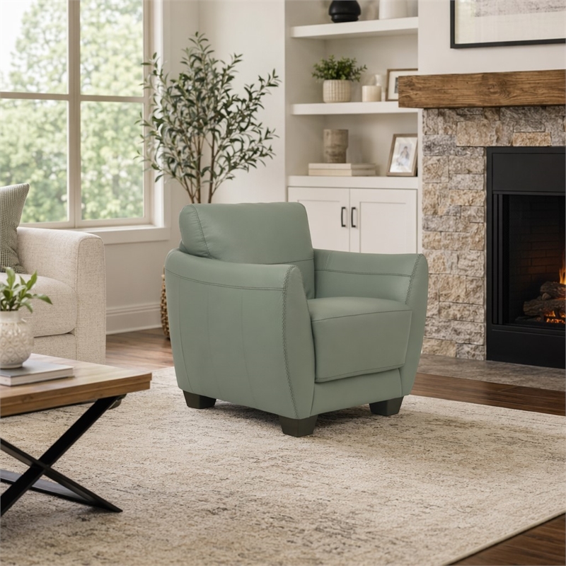 Bowery Hill Valeria Leather Chair with Wooden Block Legs in Watery Finish