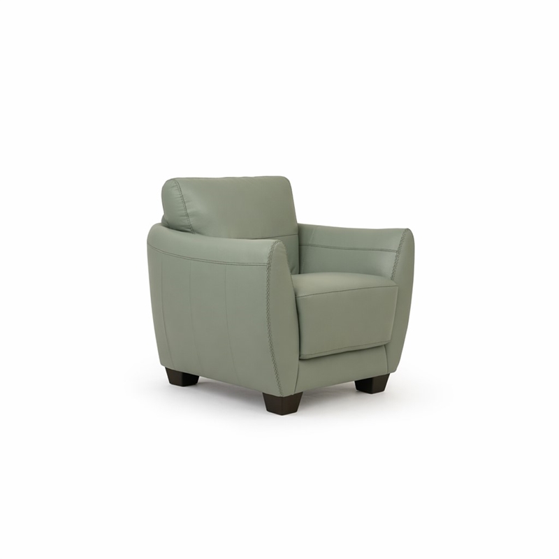 Bowery Hill Valeria Leather Chair with Wooden Block Legs in Watery Finish