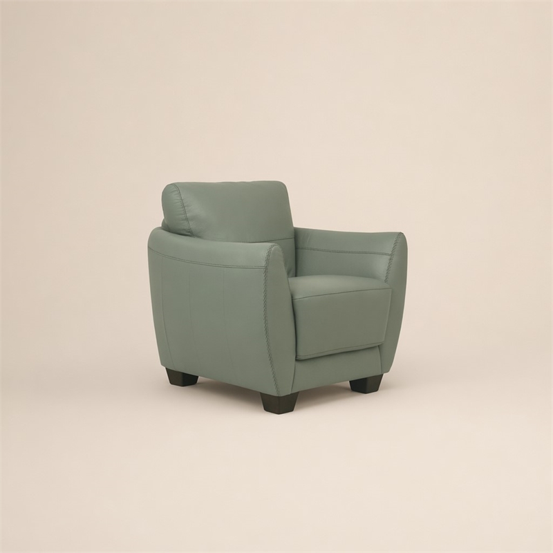 Bowery Hill Valeria Leather Chair with Wooden Block Legs in Watery Finish