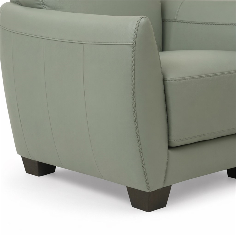Bowery Hill Valeria Leather Chair with Wooden Block Legs in Watery Finish