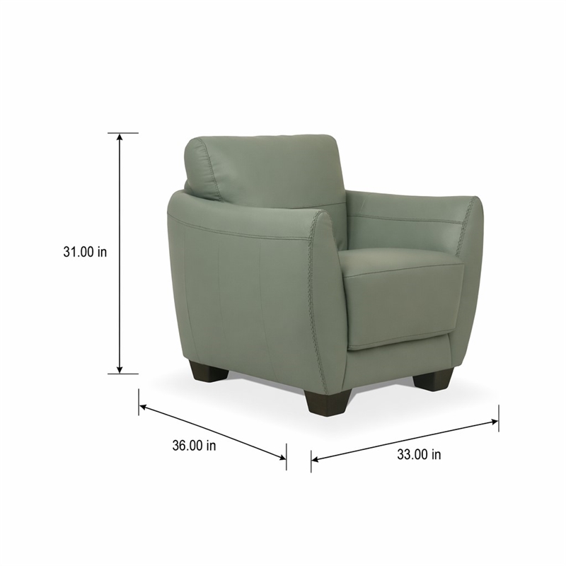 Bowery Hill Valeria Leather Chair with Wooden Block Legs in Watery Finish