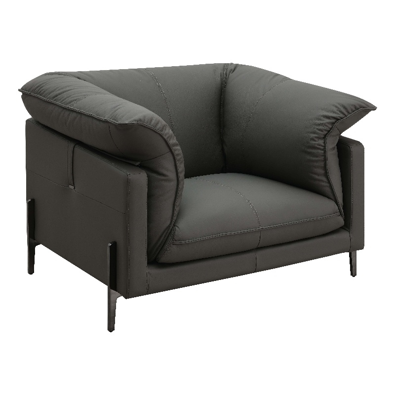 Bowery Hill Wood & Leather Upholstered Chair with Metal Legs in Black