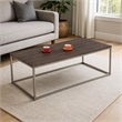 Bowery Hill Rectangular Coffee Table in Walnut and Brushed Nickel Finish