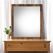 Bowery Hill Rectangular Wooden Frame Mirror in Walnut Finish