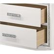 Bowery Hill Rectangular 2-Drawer Wooden Nightstand with Silver Trim in White
