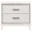Bowery Hill Rectangular 2-Drawer Wooden Nightstand with Silver Trim in White