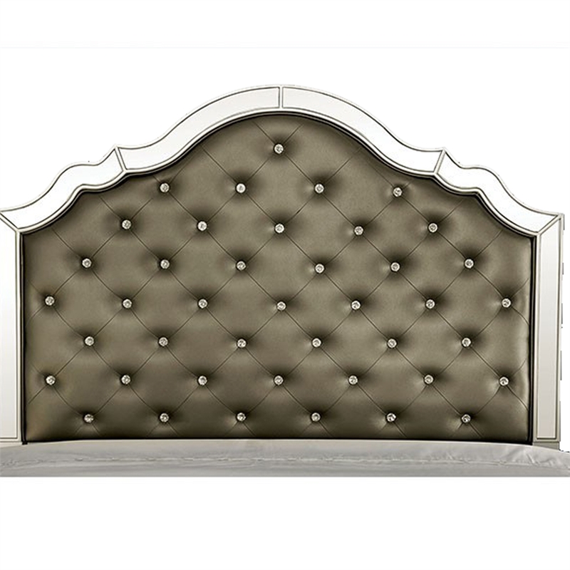 Bowery Hill Queen Bed Carved Button Tufted Faux Leather Mirrored in Silver