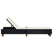 Bowery Hill Poly Rattan Sun Bed with Cushion and Backrest in Black
