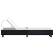 Bowery Hill Poly Rattan Sun Bed with Cushion and Backrest in Black