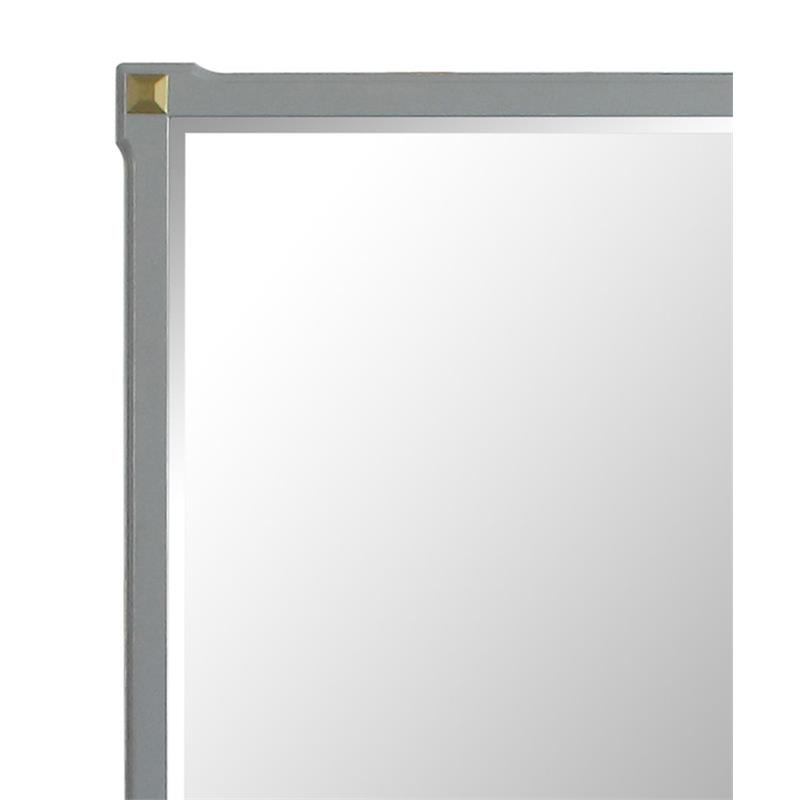 Bowery Hill Wooden Rectangular Mirror with Beveled Edge in Pearl Gray