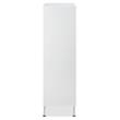 Bowery Hill Rectangular 5-Drawer Chest with Wooden Frame in White