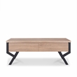 Bowery Hill Rectangular Wood & Metal Coffee Table in Natural/Black