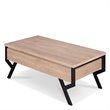 Bowery Hill Rectangular Wood & Metal Coffee Table in Natural/Black
