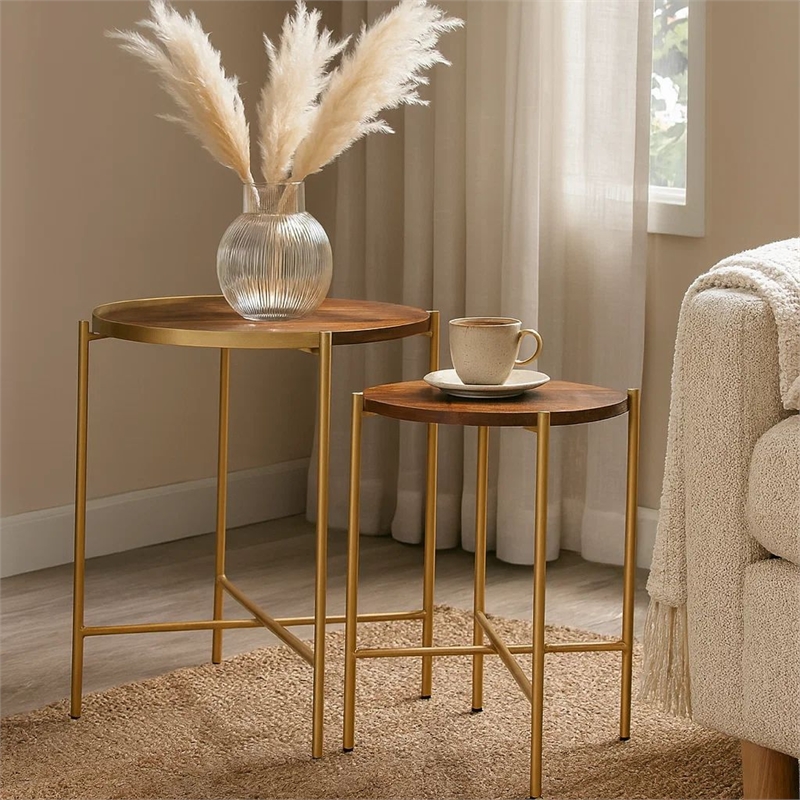 Bowery Hill 2 Piece Round Nesting Tables in Mango Wood and Gold Iron