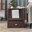 Bowery Hill Open Shelf End Table in Contemporary Walnut Finish