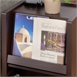 Bowery Hill Open Shelf End Table in Contemporary Walnut Finish