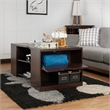 Bowery Hill Modern Wood Storage Coffee Table in Walnut Finish
