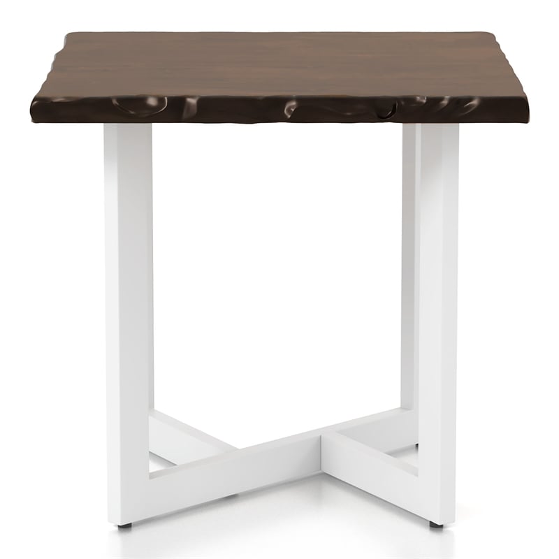 Bowery Hill Contemporary Wood End Table in Oak and White
