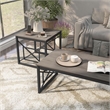 Bowery Hill Metal 2-Piece Coffee Table Set in Gray with Black Base