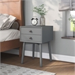 Bowery Hill Mid-Century 2-Drawer Wood Side Table in Gray
