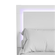 Bowery Hill LED Light King Bed Frame in White Finish